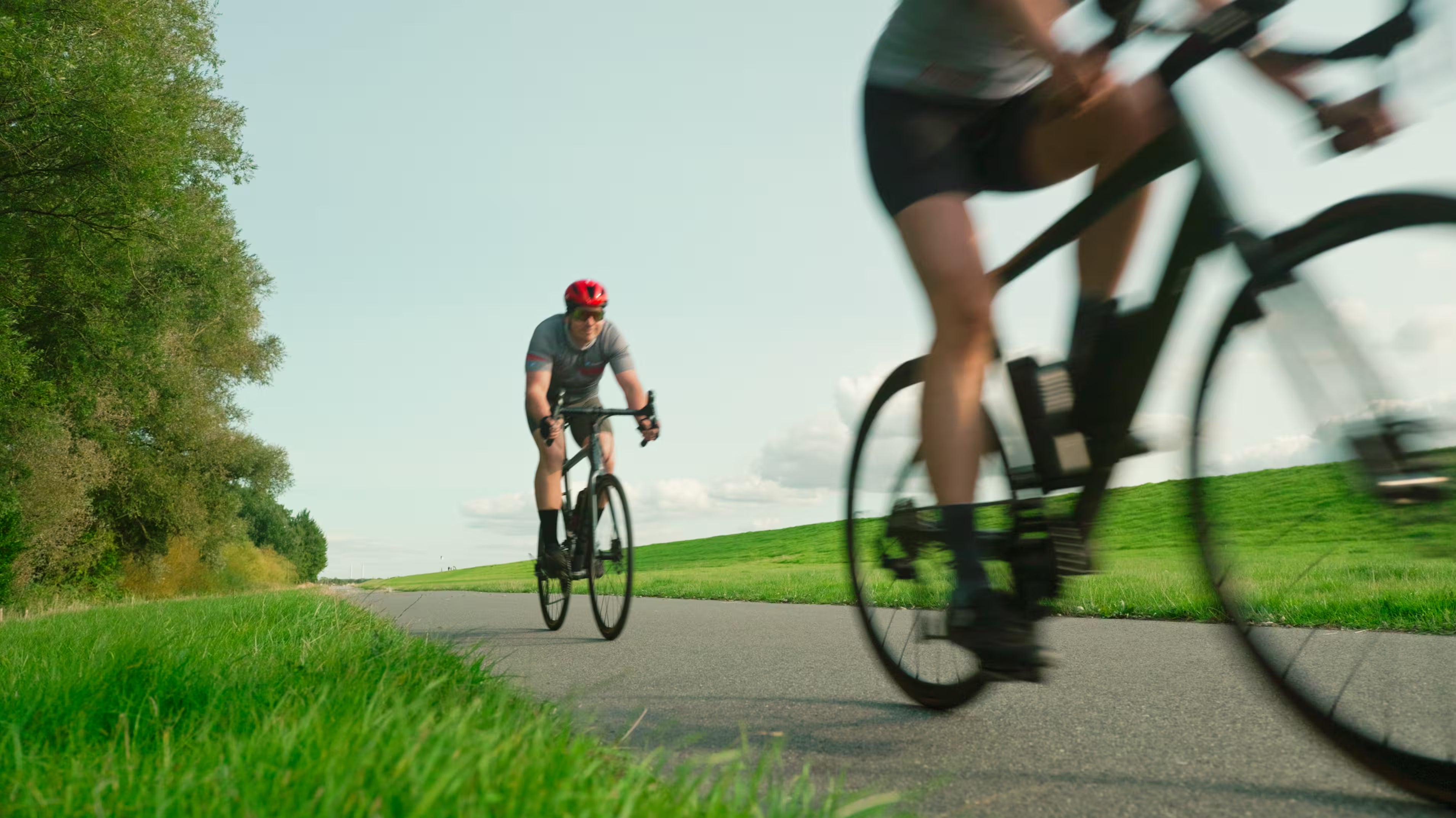 Rennradfahrer im Sommer am norddeutschen Deich
